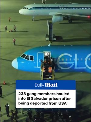 Trump Deports 238 Gang Members Back To El Salvador